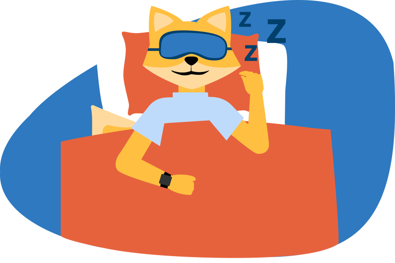 Man sieht einen schlafenden Fuchs mit Apple Watch Schlafanalyse